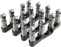 Hydraulic lifter set with chrome steel plungers, hex caps, and black base block