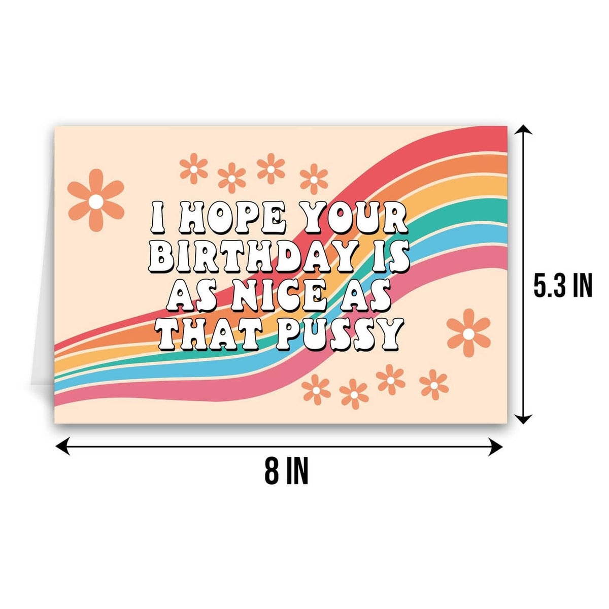 Funny birthday card, 8 in x 5.3 in; rainbow text reads “I hope your birthday is as nice as that pussy”