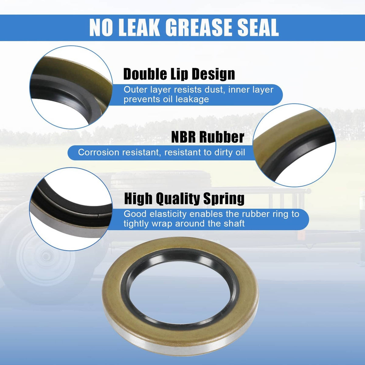 Grease seal and bearing kit with double-lip seal ring and included bearings and races