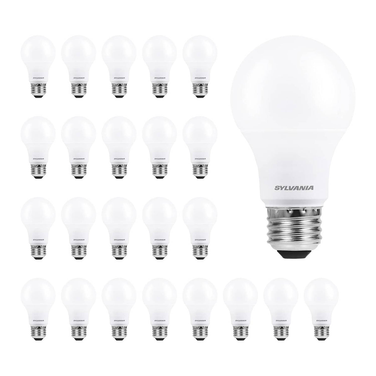 A19 LED light bulbs with frosted white glass and medium base, multiple-pack