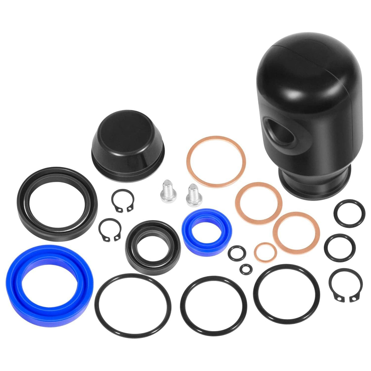 Hydraulic seal rebuild kit set with black cylinder, seals, and assorted O-rings