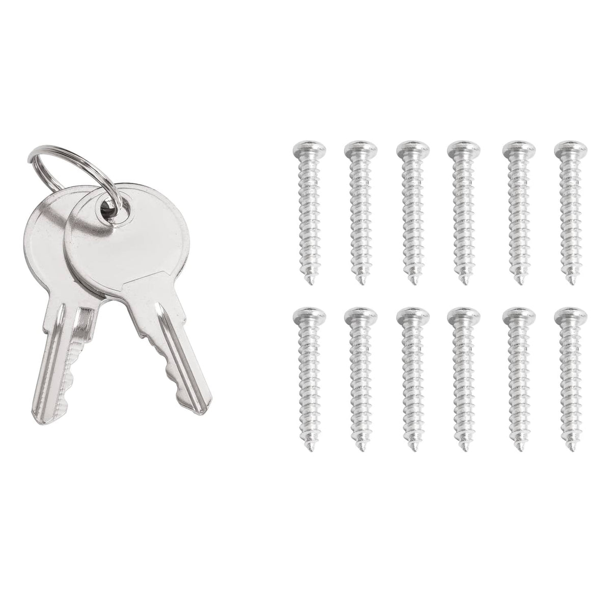 Dash cover mounting kit with two keys and screws set