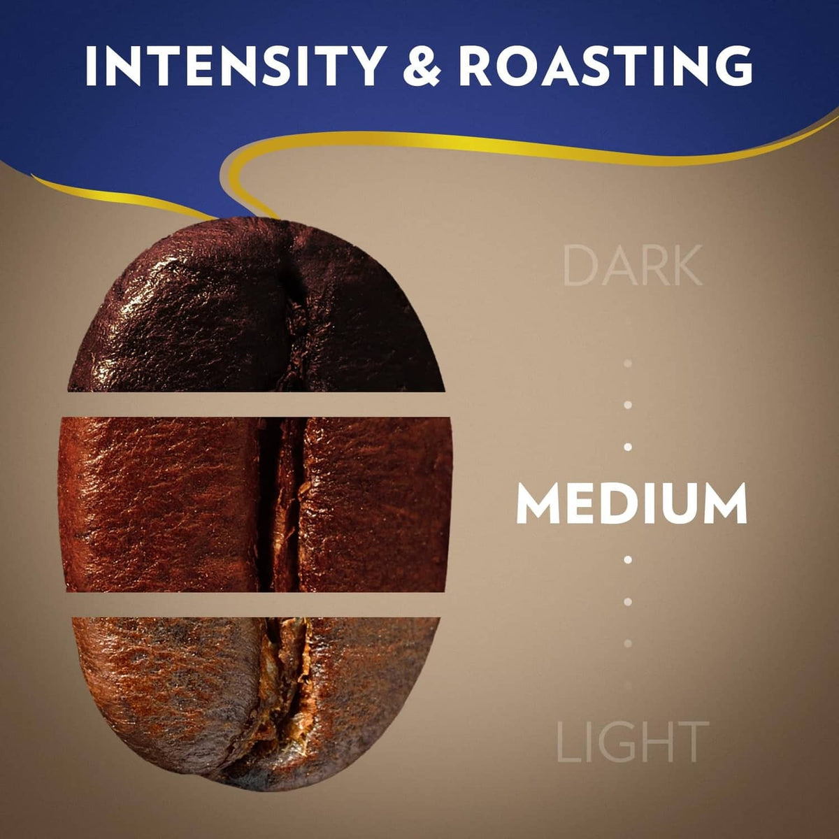 Coffee roast intensity chart showing medium roast between dark and light