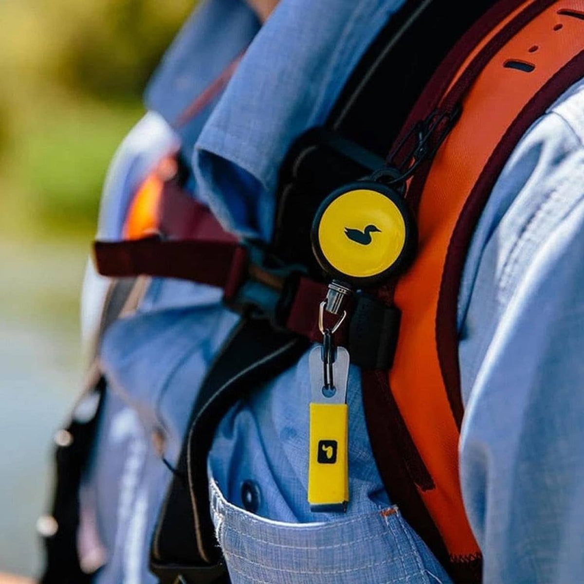 Yellow clip tag with D-ring and carabiner on black strap