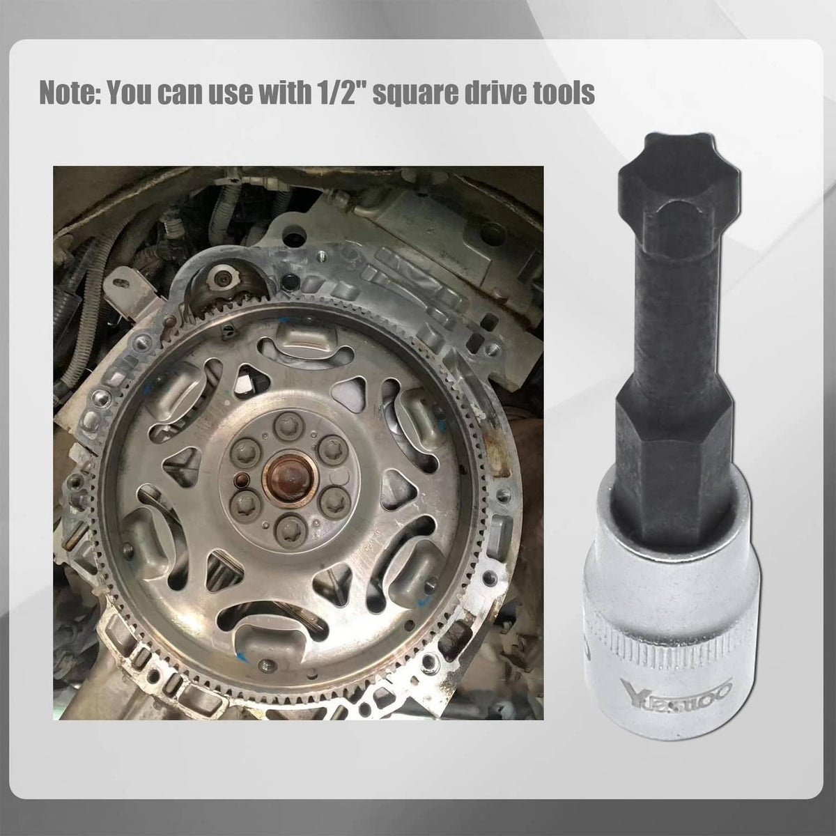 Flywheel bolt socket tool for 1/2 in drive, shown with flywheel clutch plate