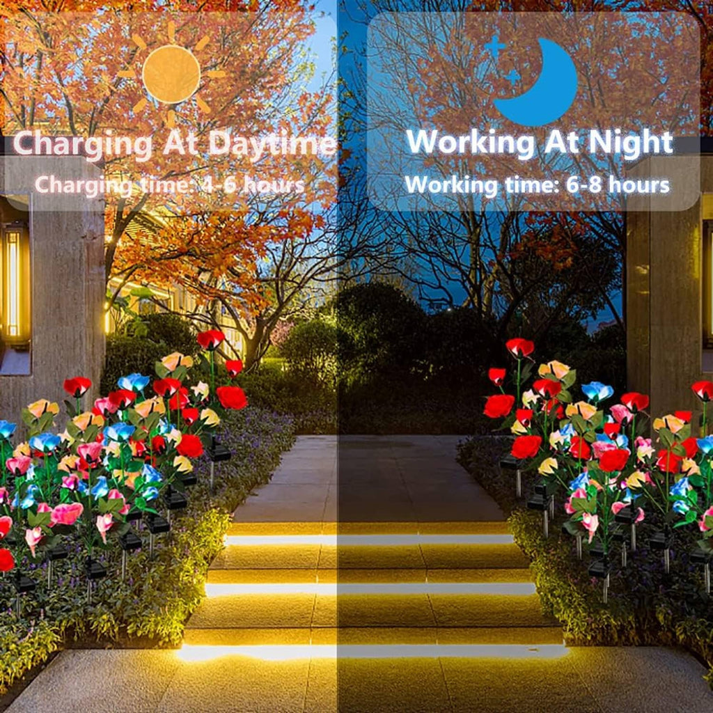 Solar rose garden lights with glowing multi-color rose blooms along a walkway