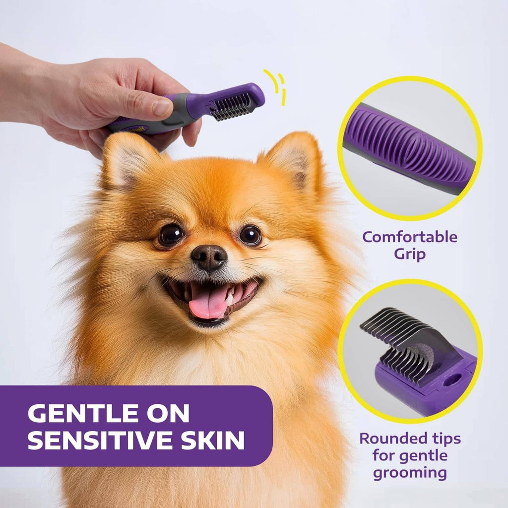 Purple dematting comb tool with comfort grip and rounded metal tips on small dog