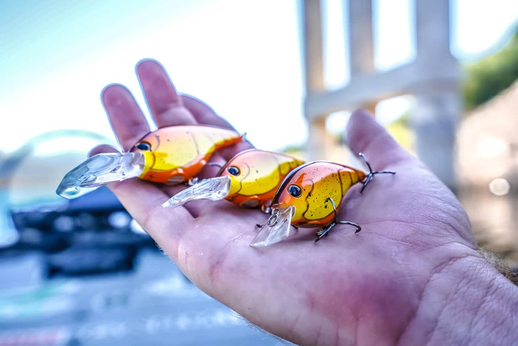 Crankbait lure assortment in hand: three colorful baits with treble hooks