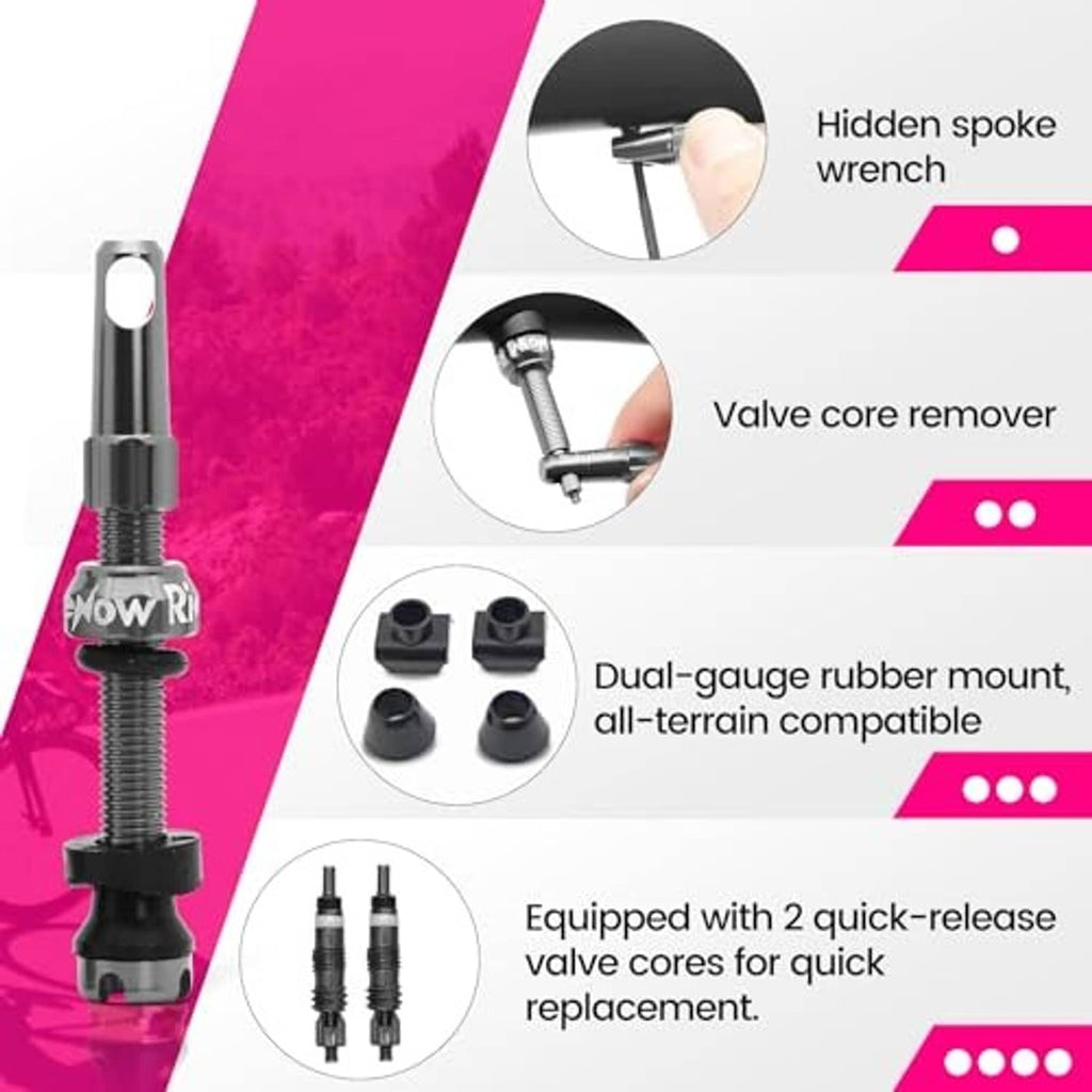 Gray Presta tubeless valve stem with rubber mounts and tool-free quick-release core parts