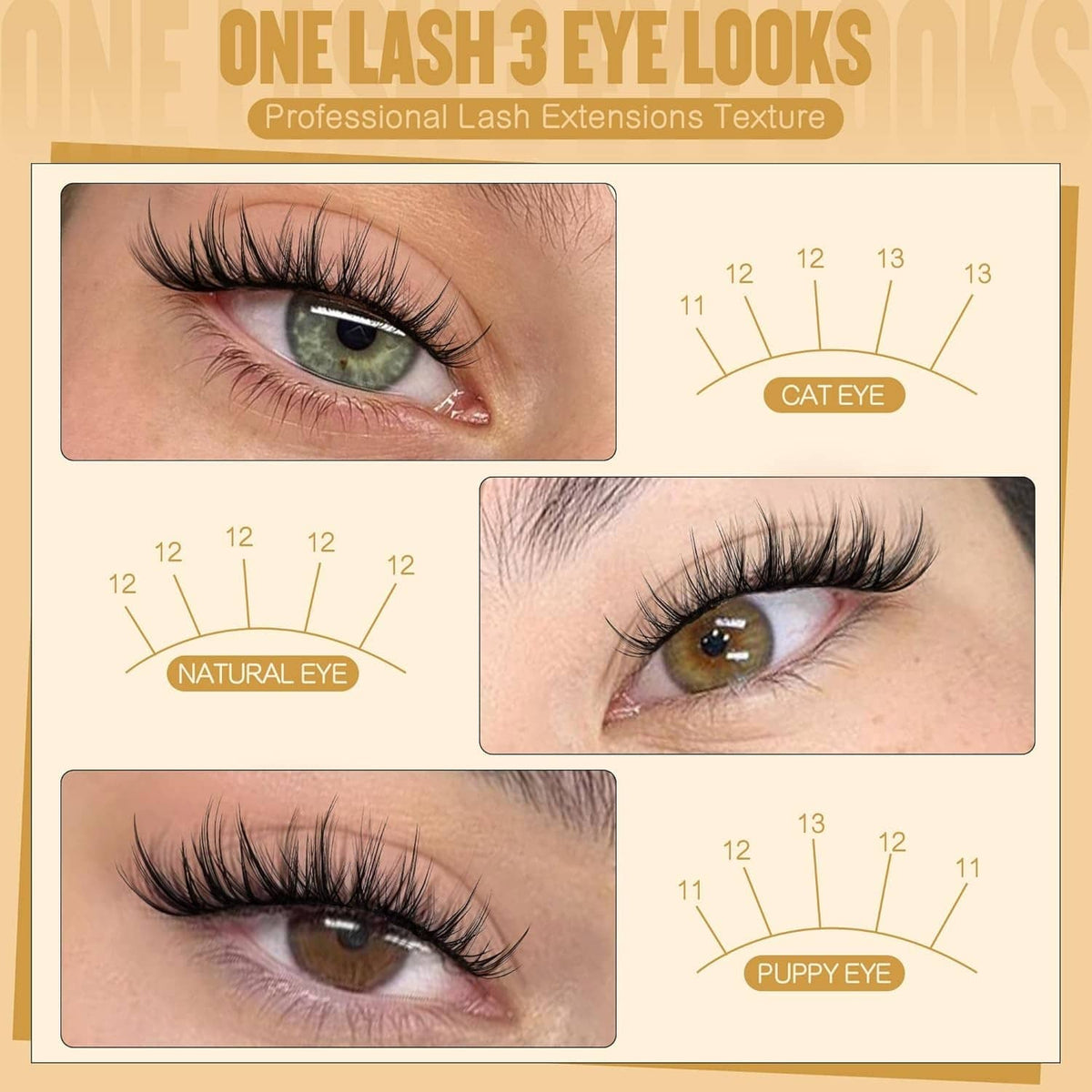 Wispy black lash clusters chart showing natural, cat eye, and puppy eye styles