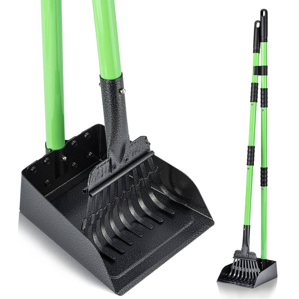 Dog pooper scooper with black rake tray and long green handle