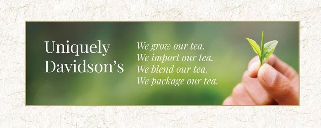 Uniquely Davidson's tea package banner with hand holding tea leaf