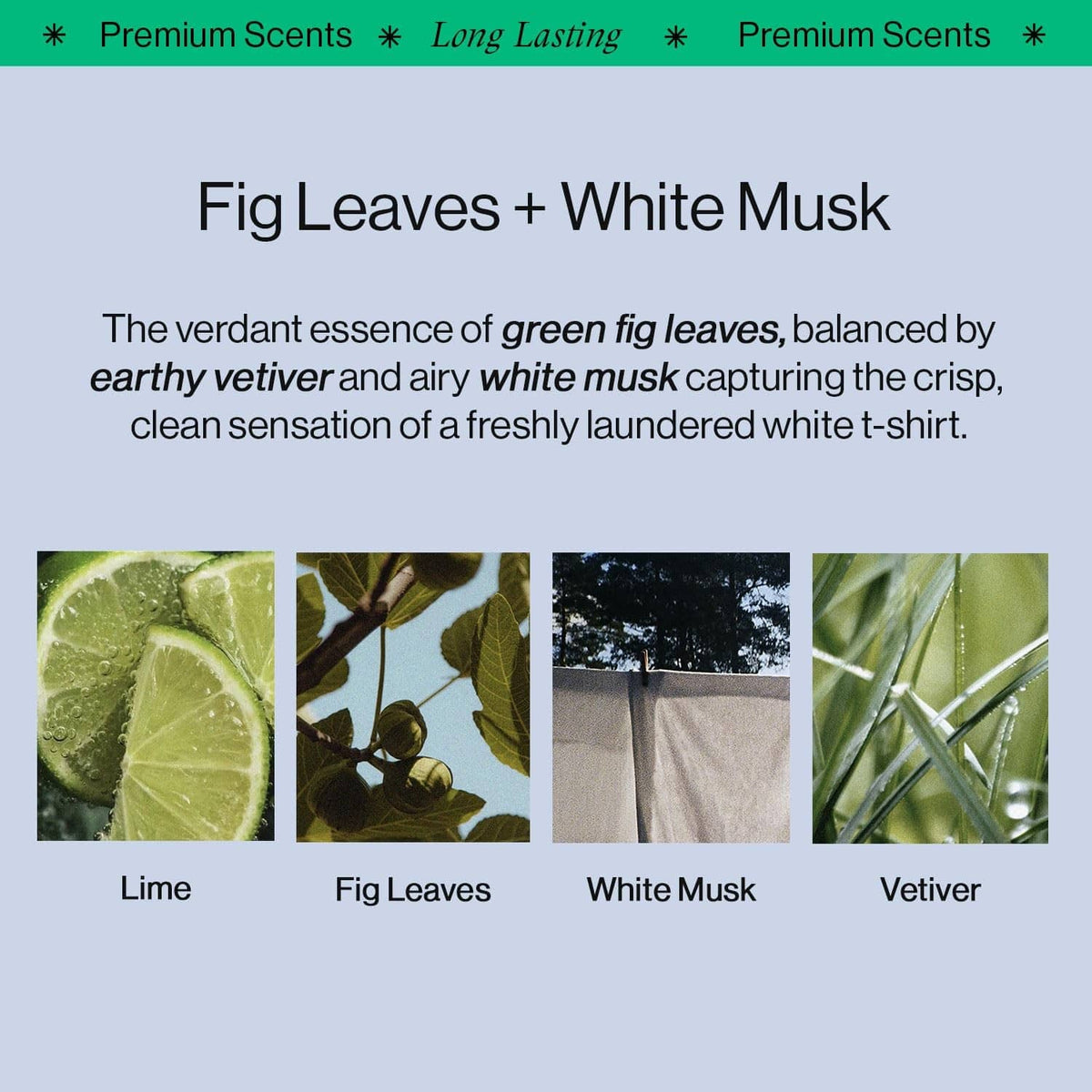 Offcourt shower gel scent panel: fig leaves and white musk