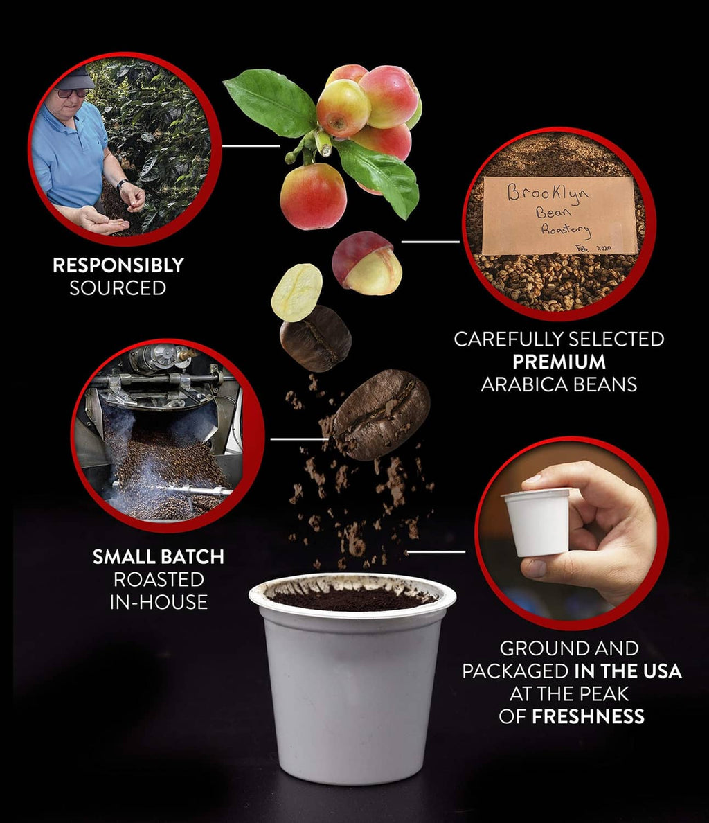 Coffee branding infographic with ground coffee cup and premium beans