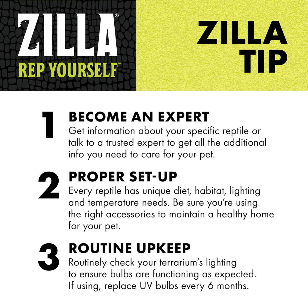 Heat bulb care tips graphic: become an expert, proper set-up, routine upkeep