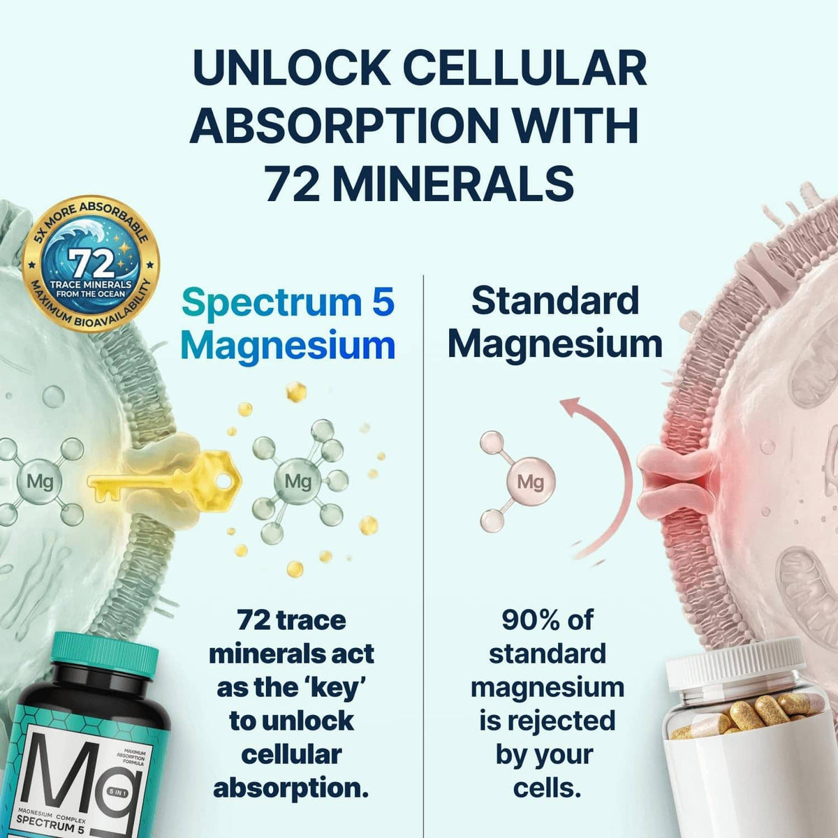 Magnesium supplement infographic on cellular absorption with 72 minerals badge