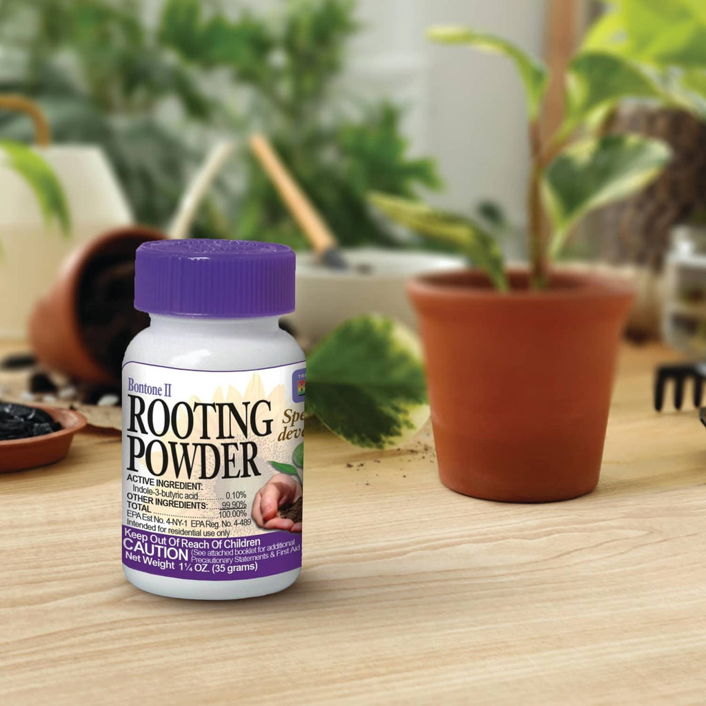 Rooting powder bottle with purple cap on wooden tabletop near potted plants