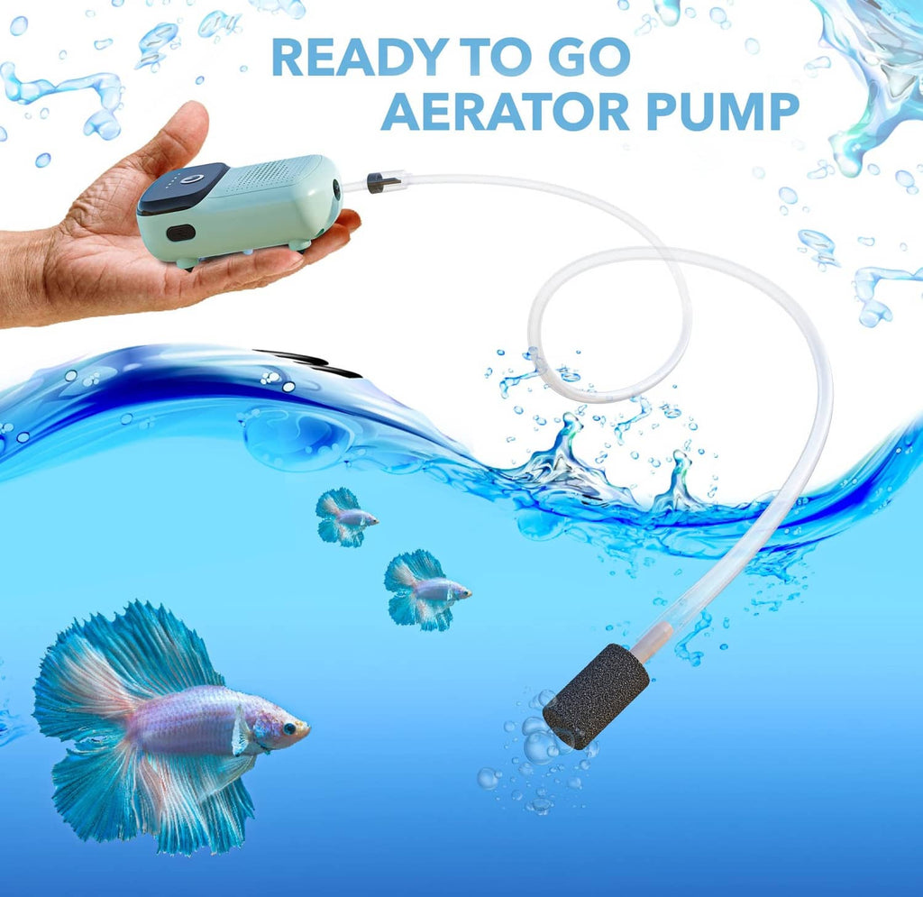 Rechargeable aerator pump kit with mint air pump, tubing, and air stone