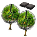 2-pack black fruit tree netting bags with zipper and drawstring, two bags with lids
