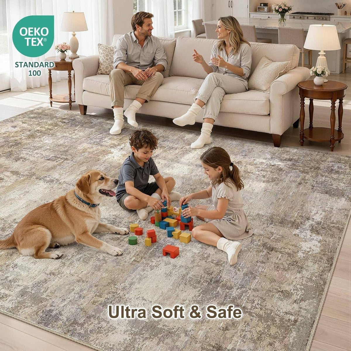 Ultra-soft distressed beige and gray area rug with bordered edge on floor