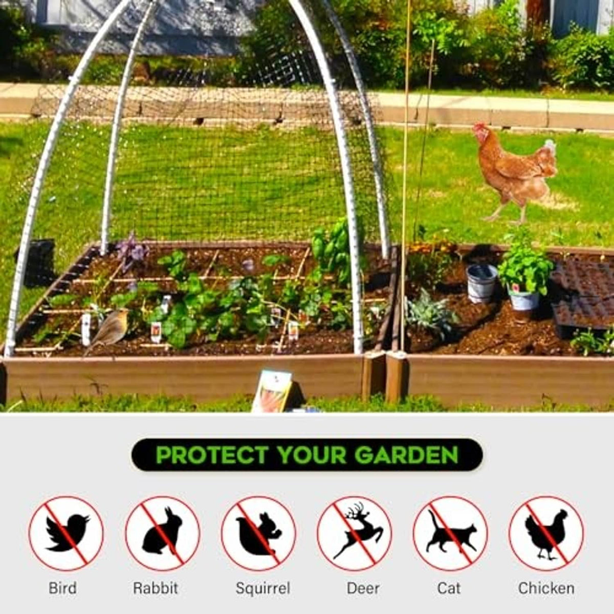 Garden netting tunnel enclosure over a raised bed, with mesh covering plants