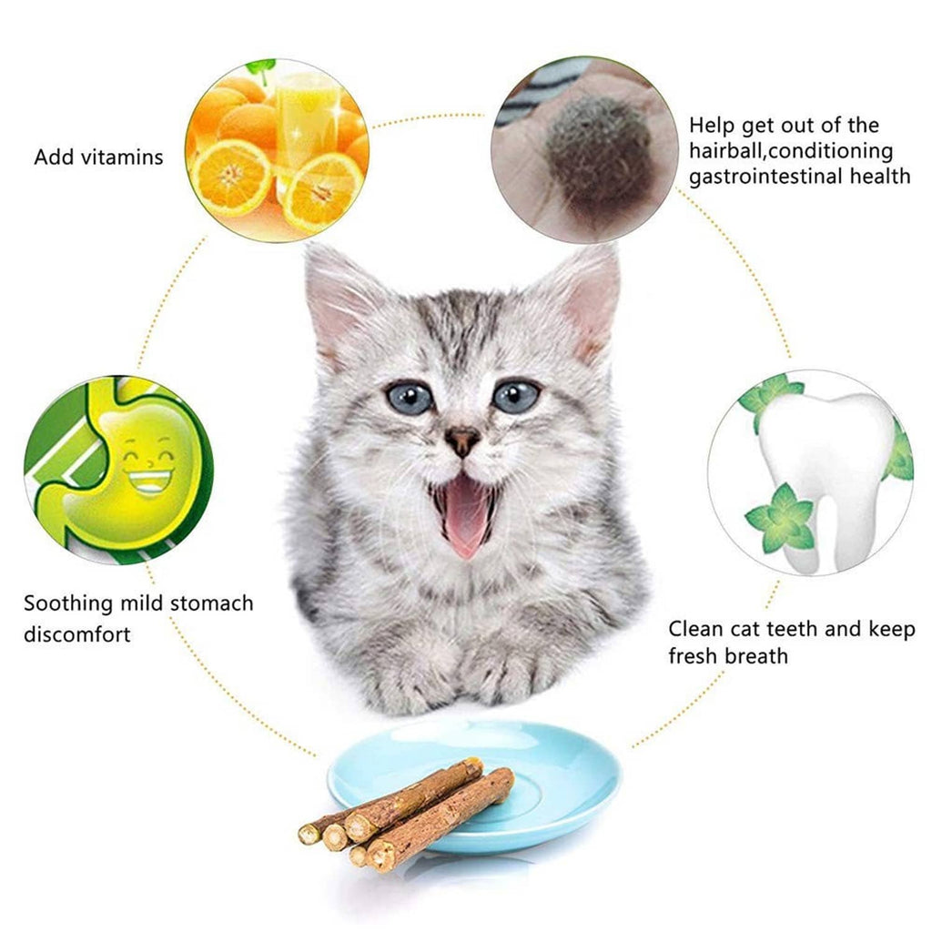 Cat chew stick on blue dish with cat illustration accessories