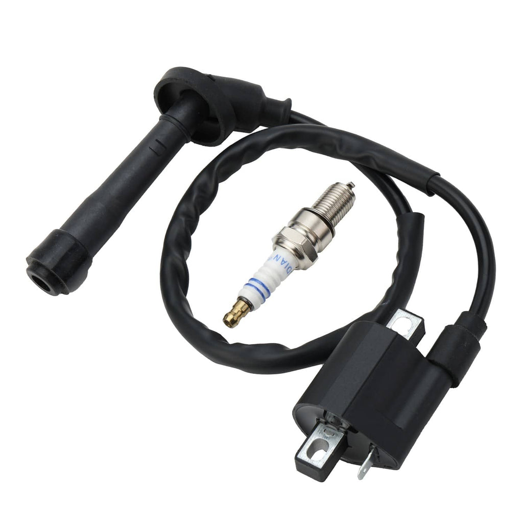 Ignition coil module with spark plug and black wire harness