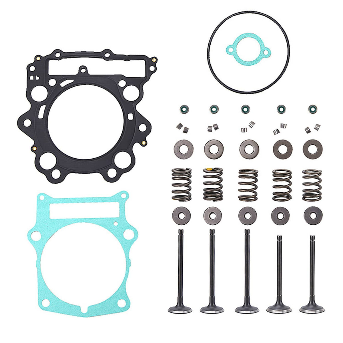 Loose gasket kit parts: black and blue gaskets, seals, springs, and pins