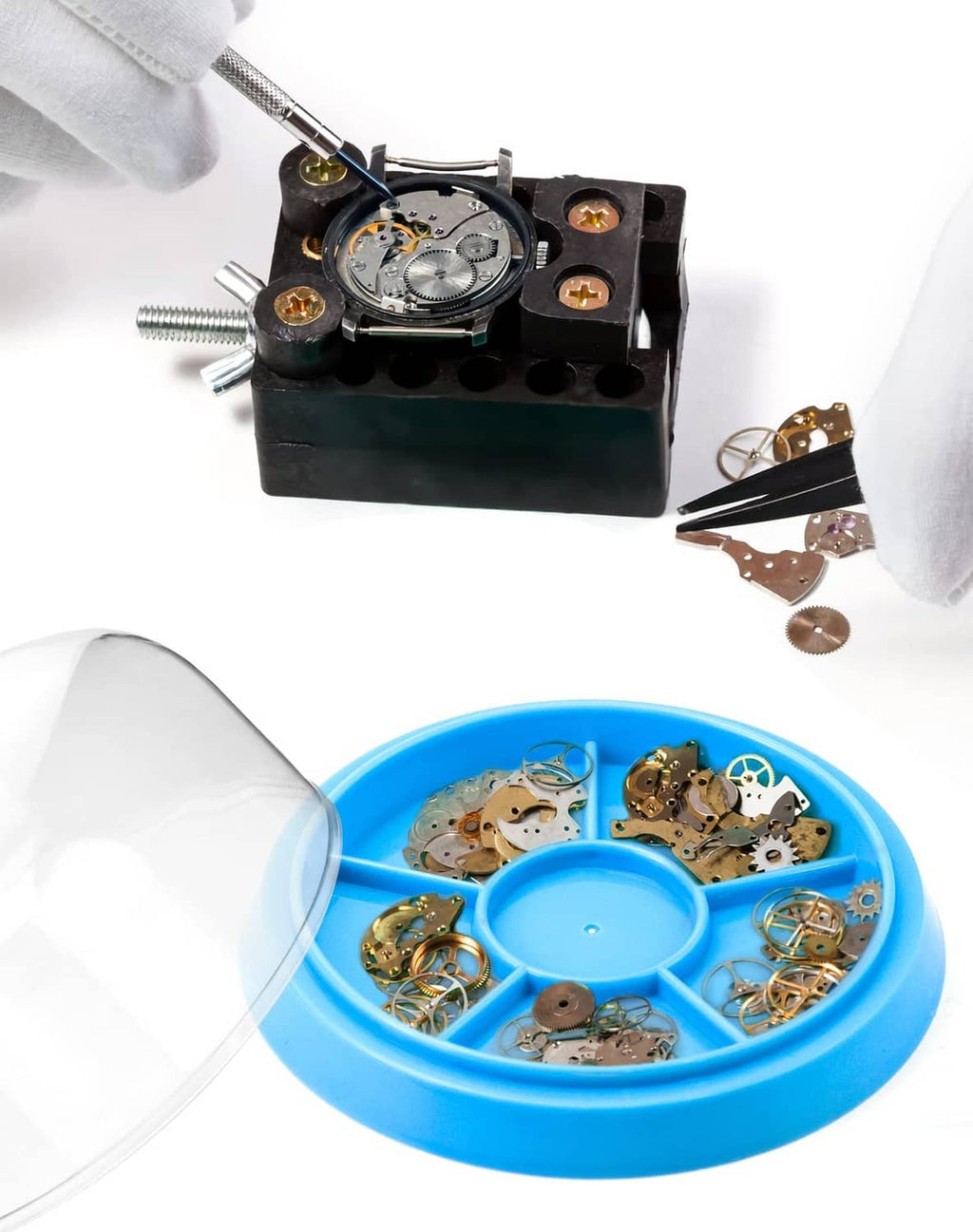 Clear watch movement dust cover with blue anti-dust tray holding small parts