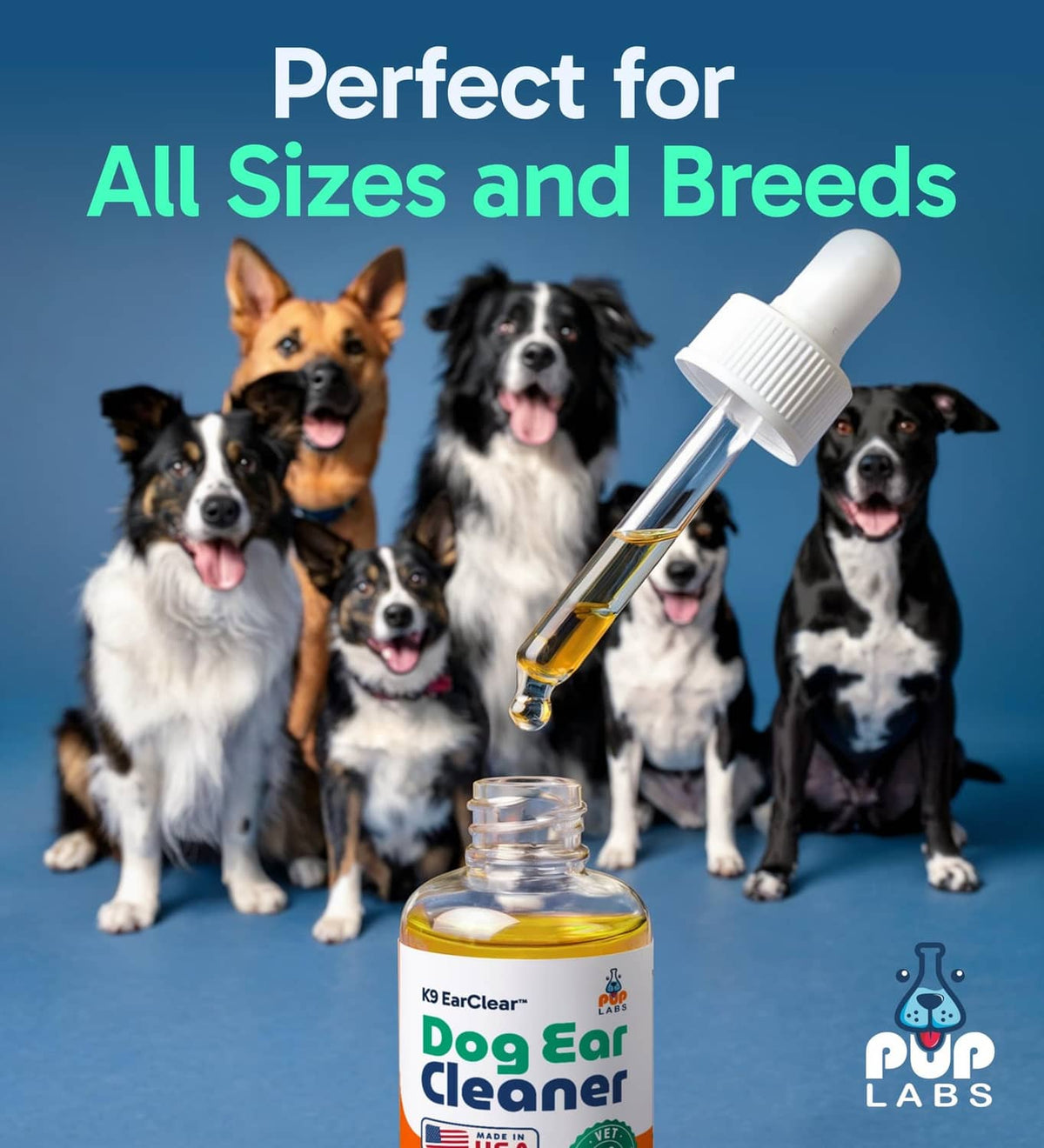Dog ear cleaner dropper bottle with mixed breed dogs