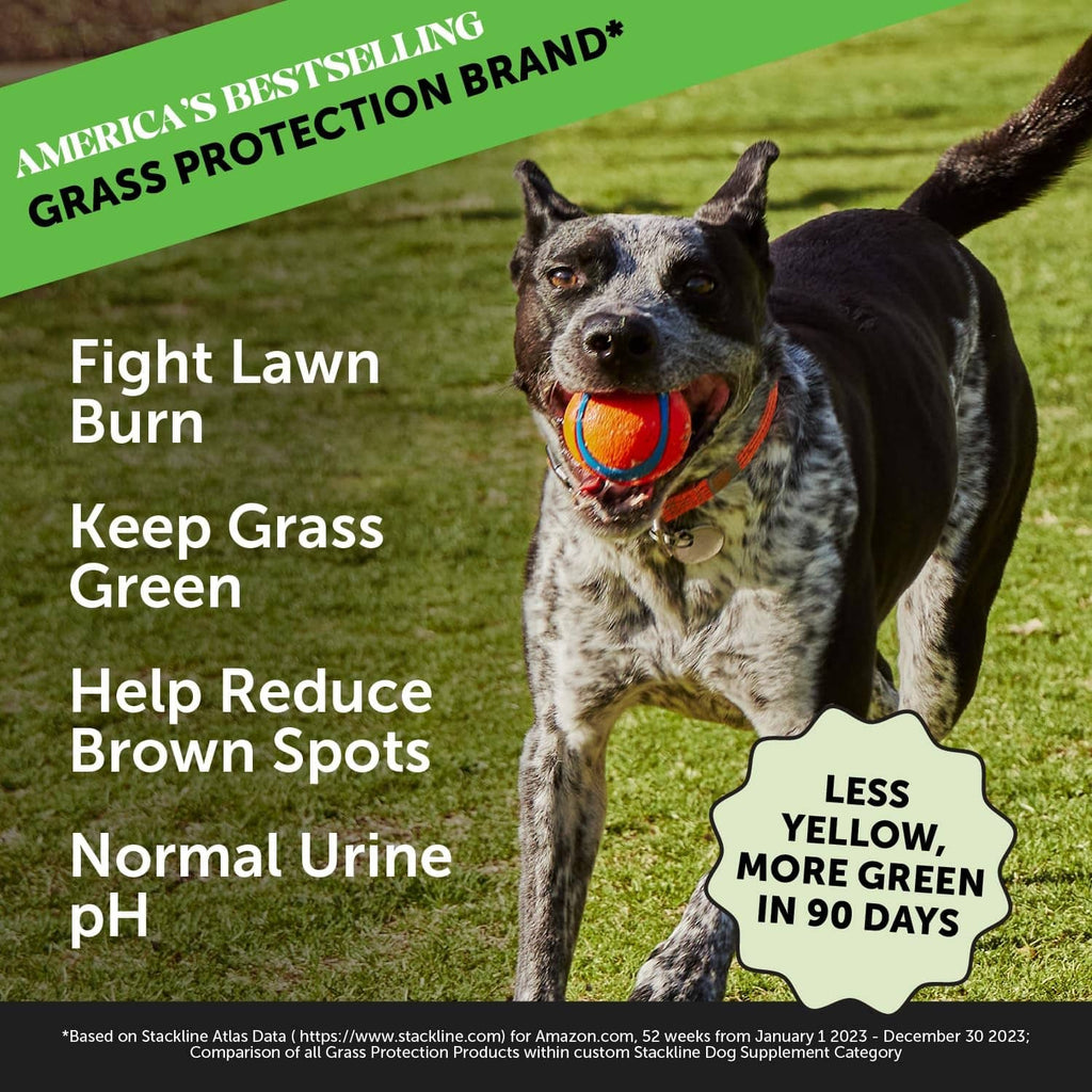 Dog chew box panel showing a dog, lawn burn claim, and chew jar badge