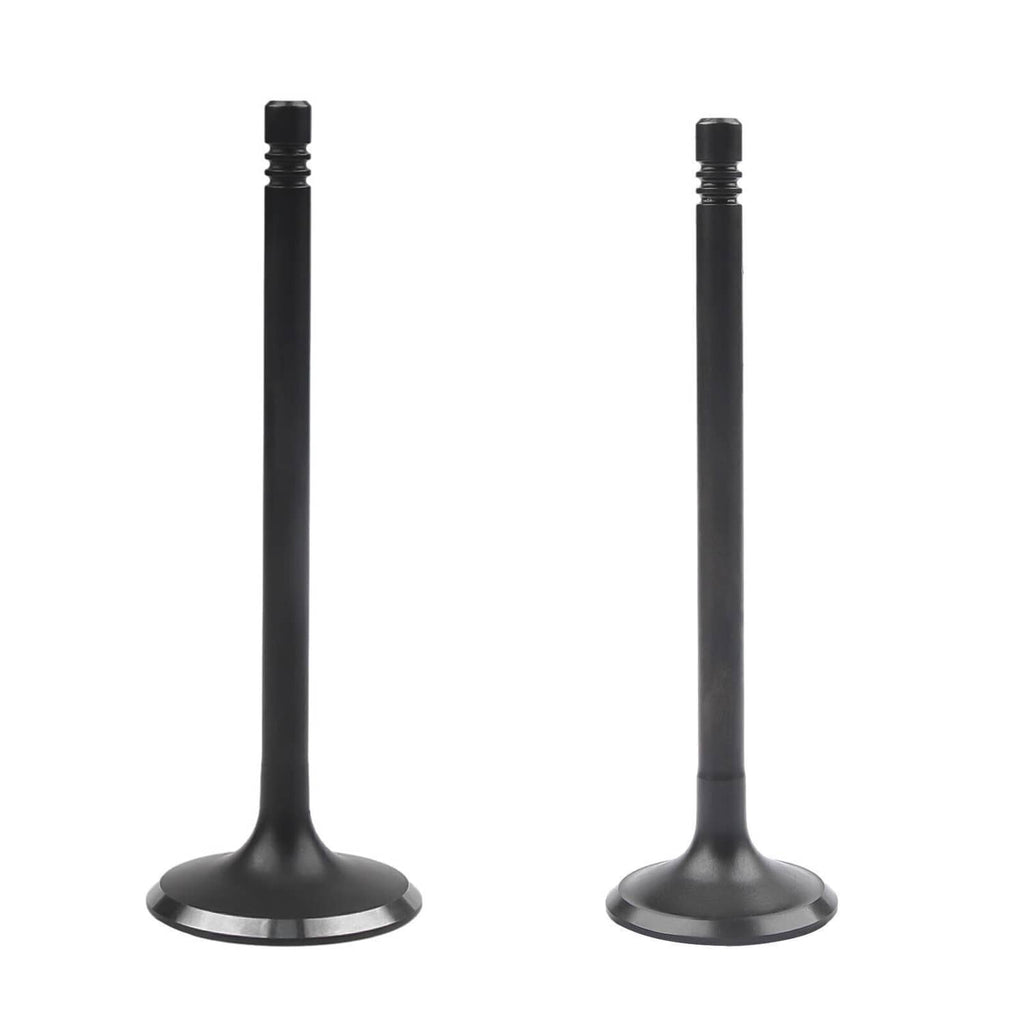 Pair of intake/exhaust valves with threaded stems and flat round bases, dark metal