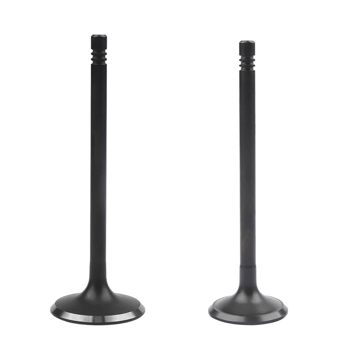 Pair of intake/exhaust valves with threaded stems and flat round bases, dark metal