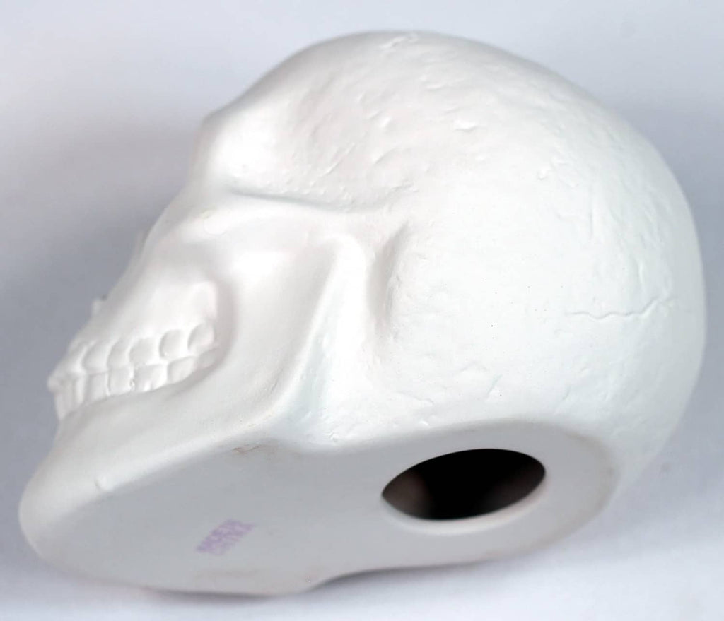White ceramic bisque skull close-up of side opening with faint purple marks