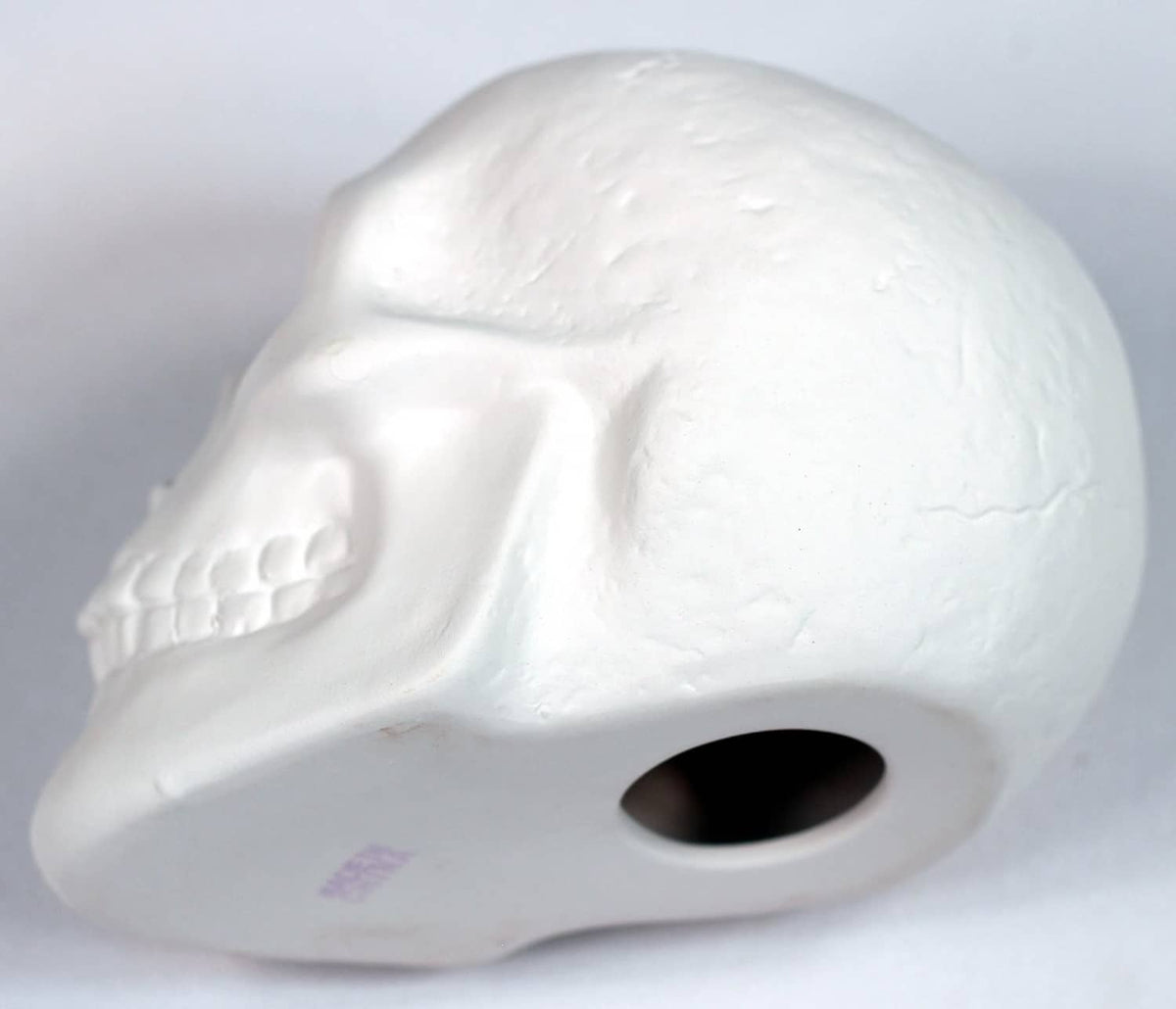 White ceramic bisque skull close-up of side opening with faint purple marks
