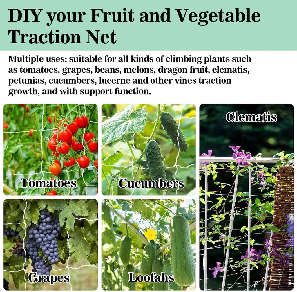 Trellis netting used for climbing fruits and vegetables, with square mesh shown on vines.