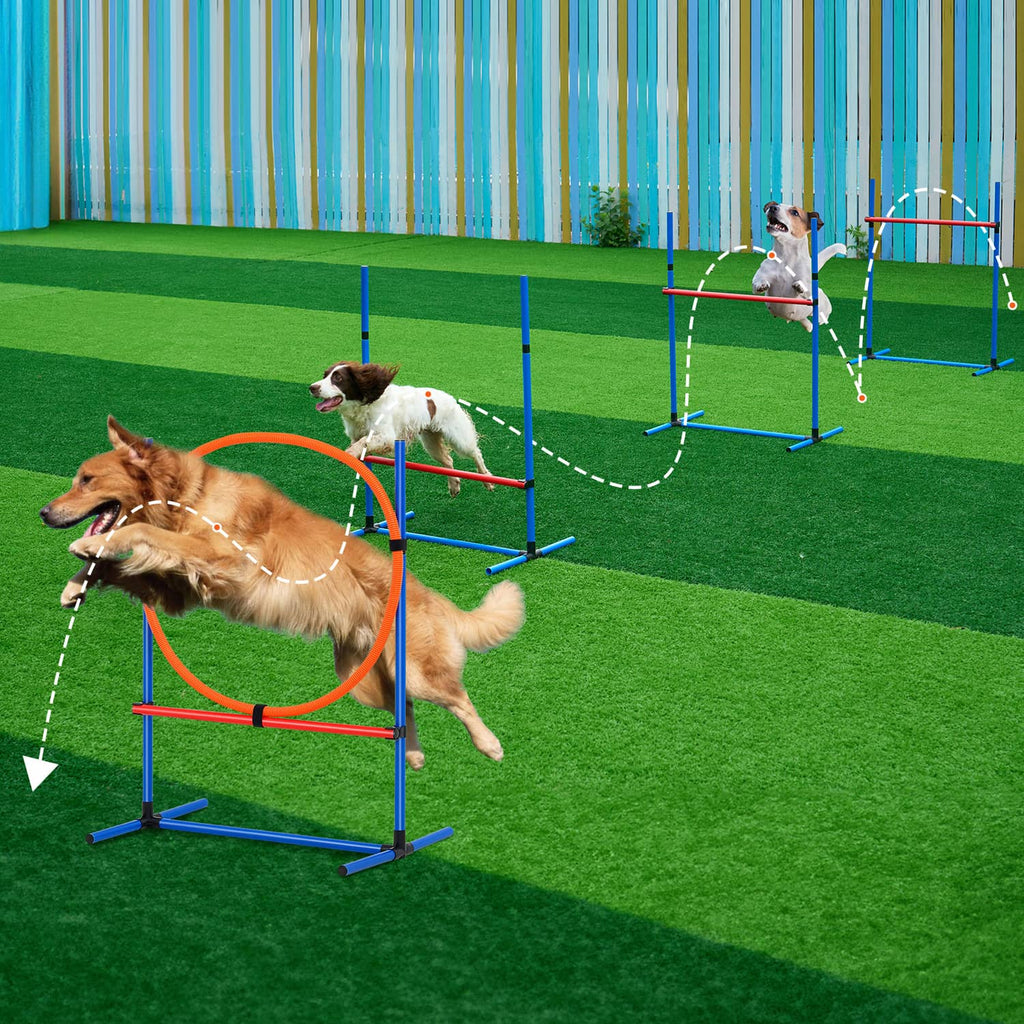 Outdoor dog agility training set with hoop and hurdle jumps, blue frame and red bars