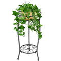 Black 2-tier metal plant stand with circular top and scrollwork base, holding potted plant