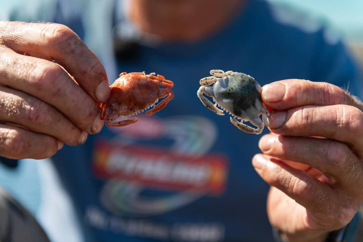 Two soft crab baits held in hands, one orange and one blue