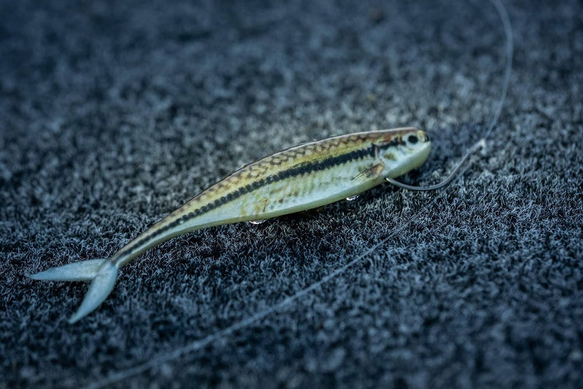 Minnow fishing lure lying on fabric, pale olive body with dark back stripe