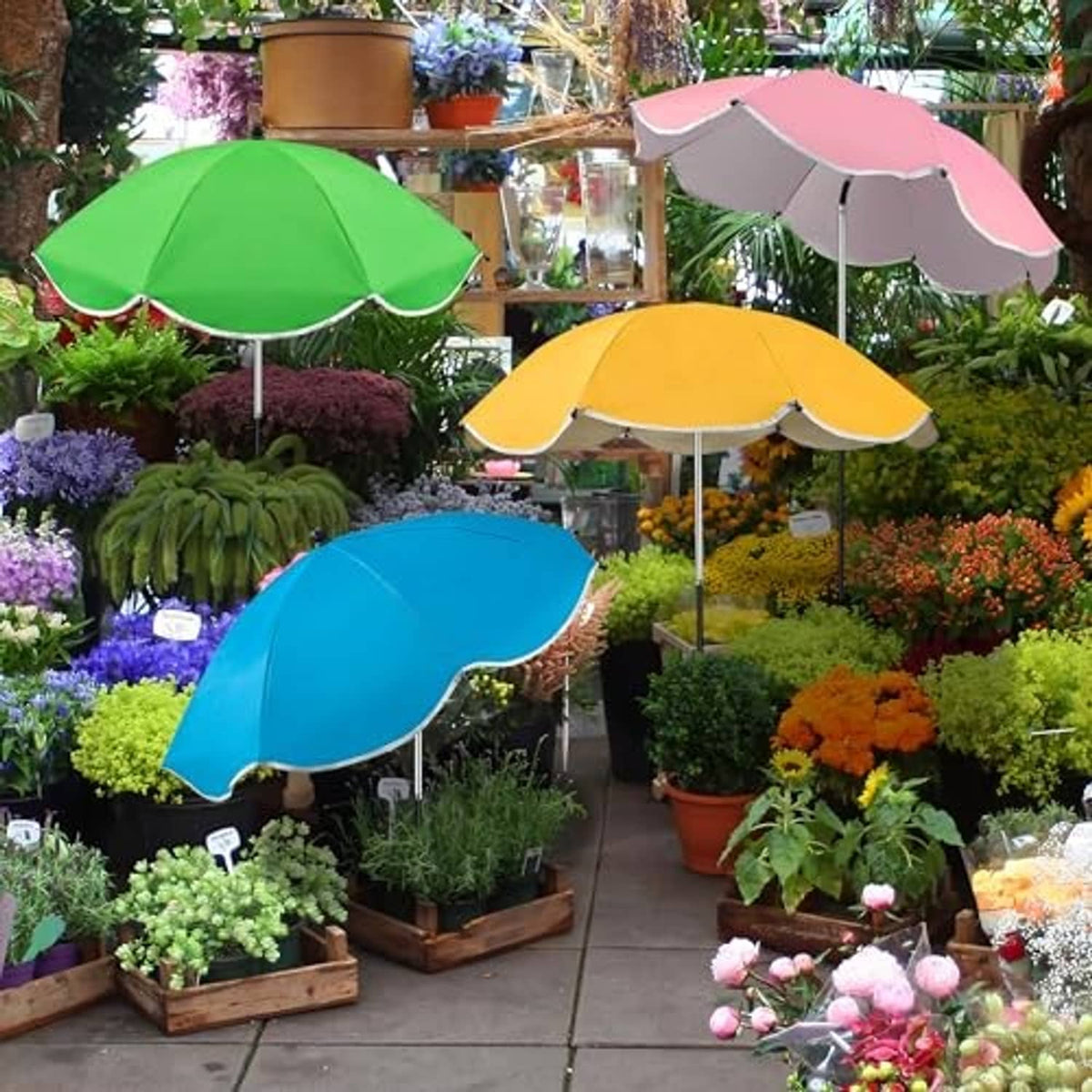 Four outdoor plant umbrellas displayed among potted flowers with metal stakes
