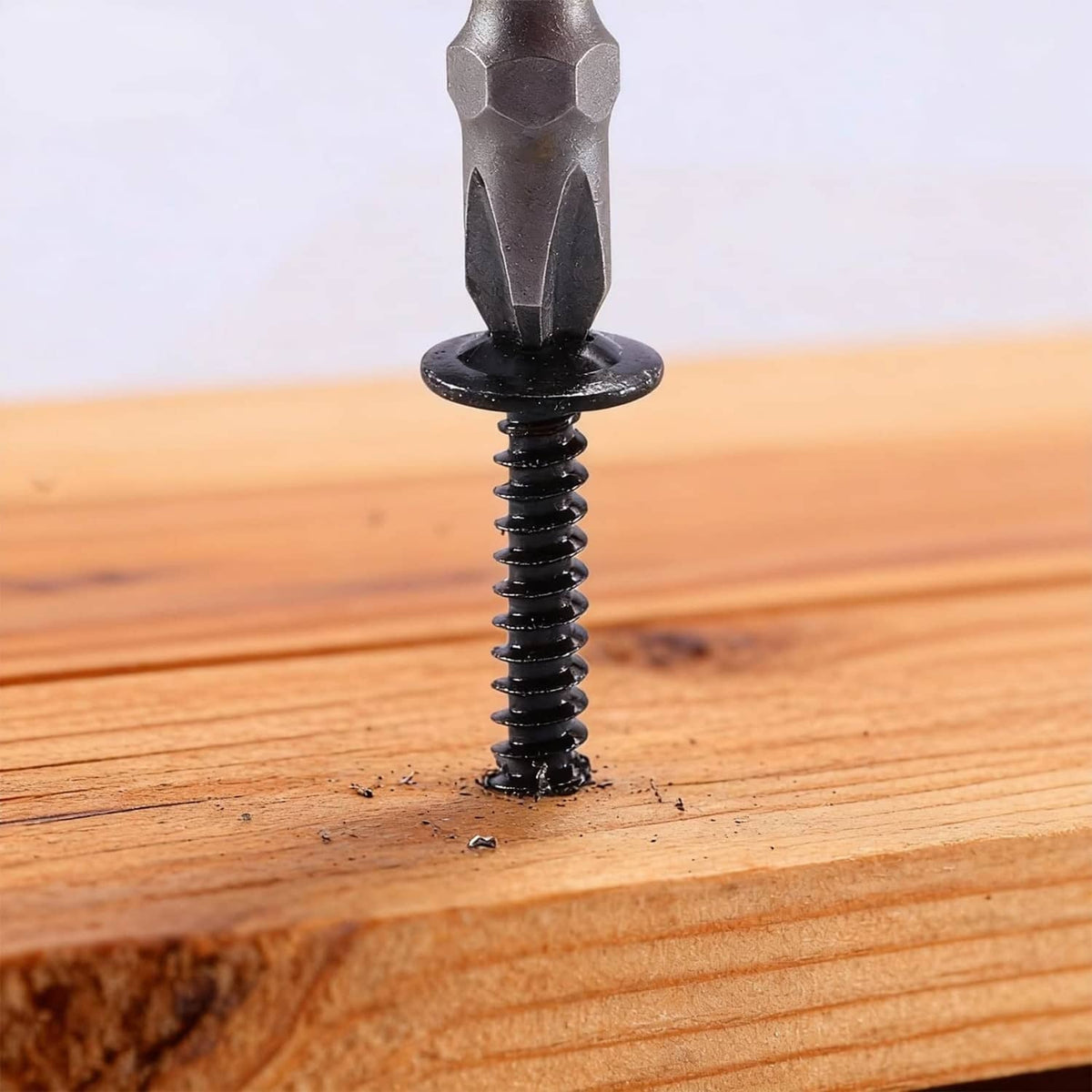 Black Phillips-drive self-tapping wood screw seated in wooden board
