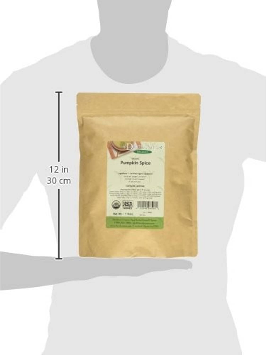 Organic pumpkin spice black tea pouch shown on person, 12 in height