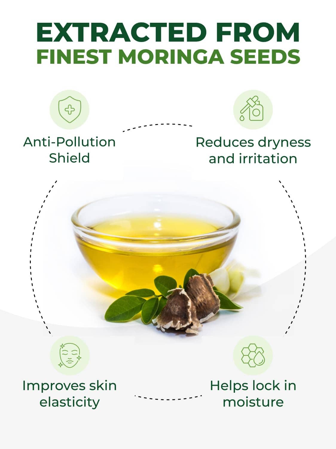 Glass cup of golden moringa oil with moringa seeds and green leaves
