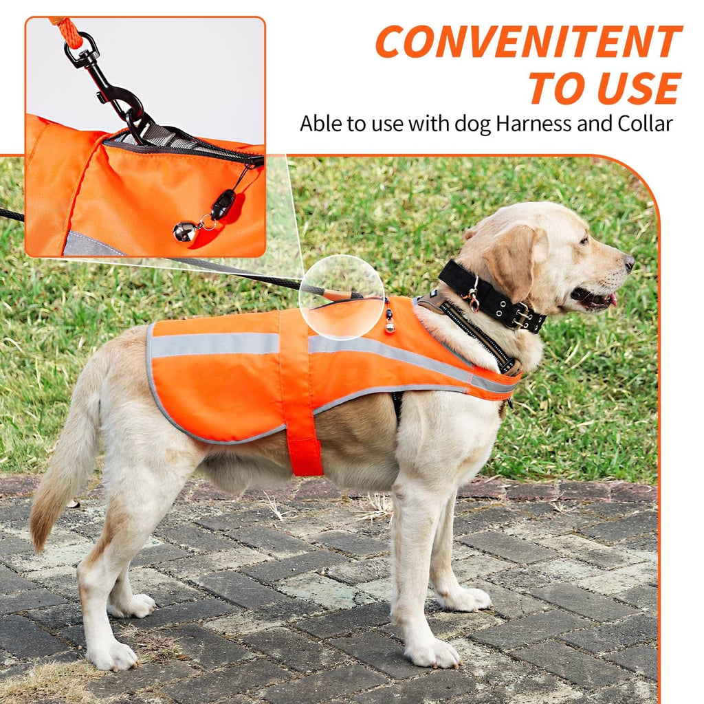 Orange reflective dog vest on standing dog, with adjustable neck and chest straps