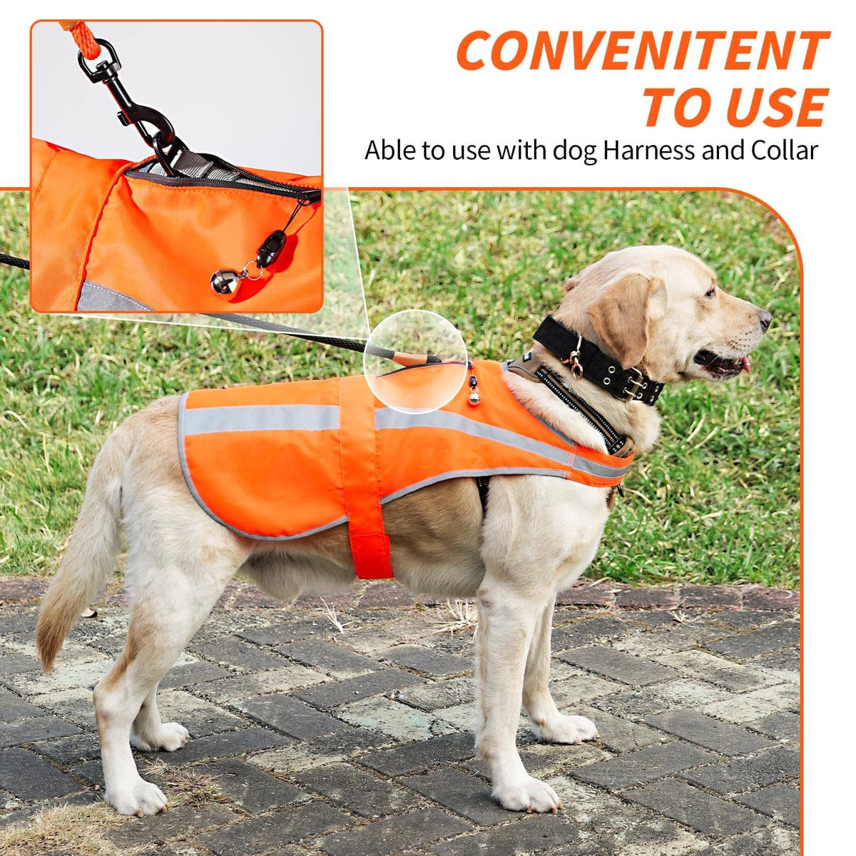 Orange reflective dog vest on standing dog, with adjustable neck and chest straps