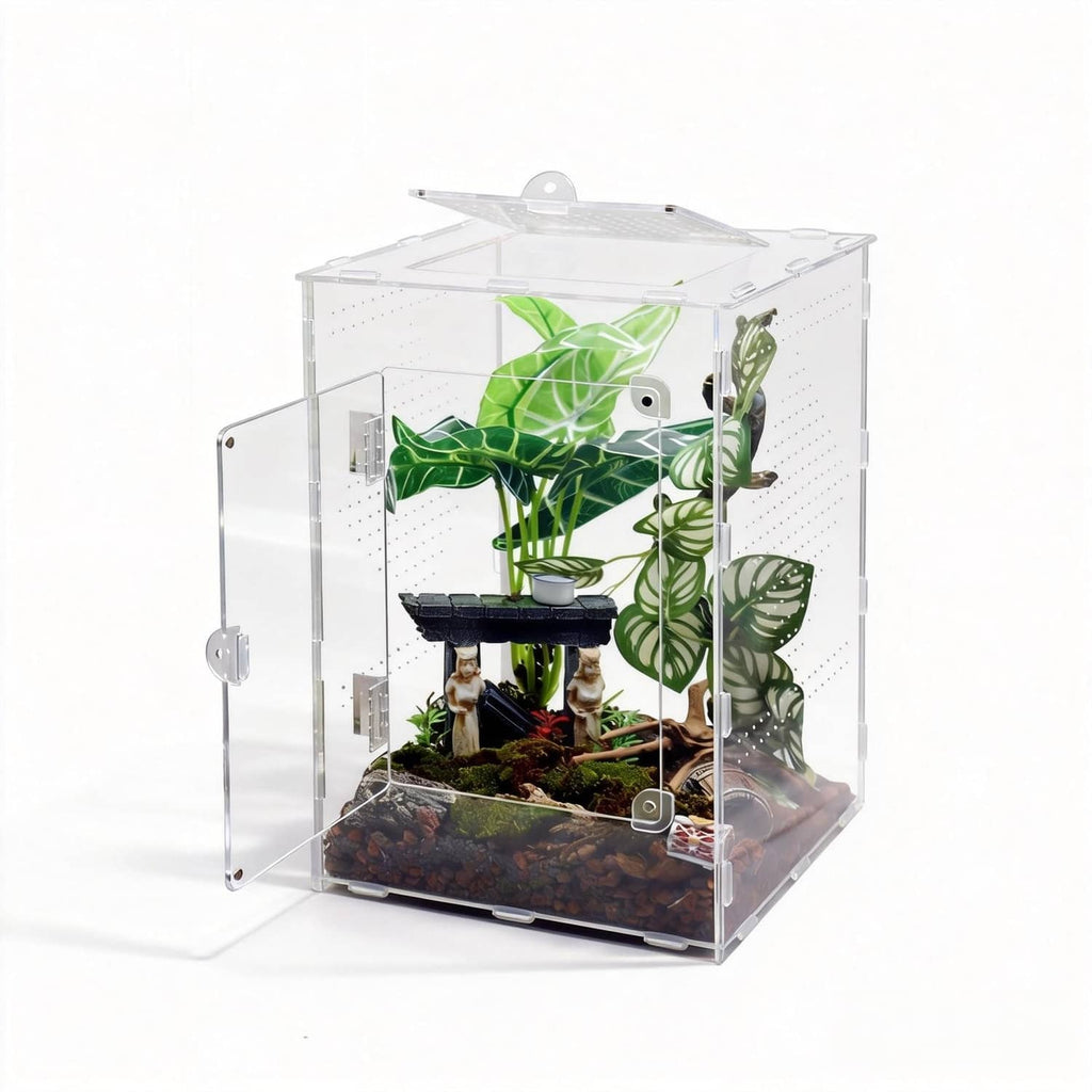 Large transparent acrylic jumping spider enclosure with top and front access openings