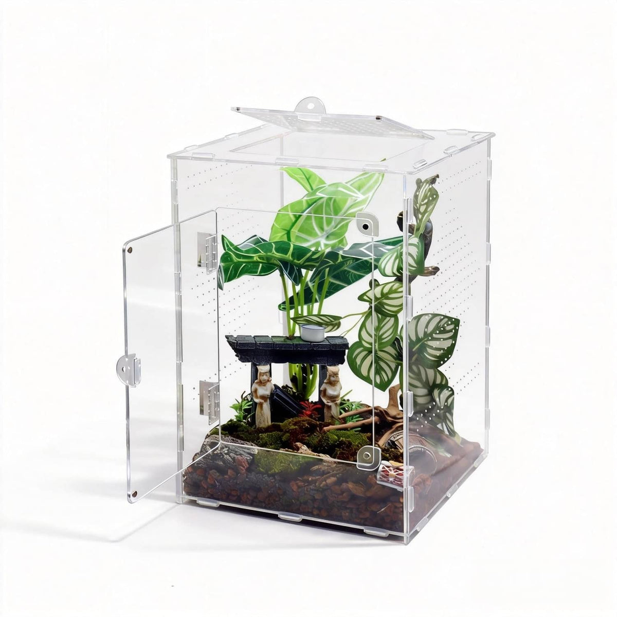 Large transparent acrylic jumping spider enclosure with top and front access openings