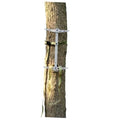 Lightweight aluminum climbing sticks with straps attached to a tree trunk