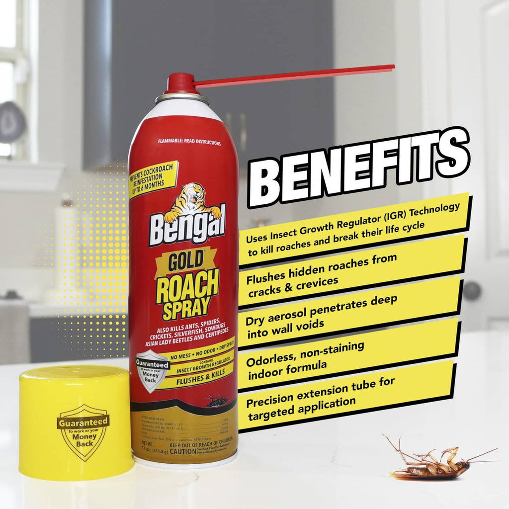 Bengal Gold Roach Spray aerosol can standing with red spray nozzle and yellow cap